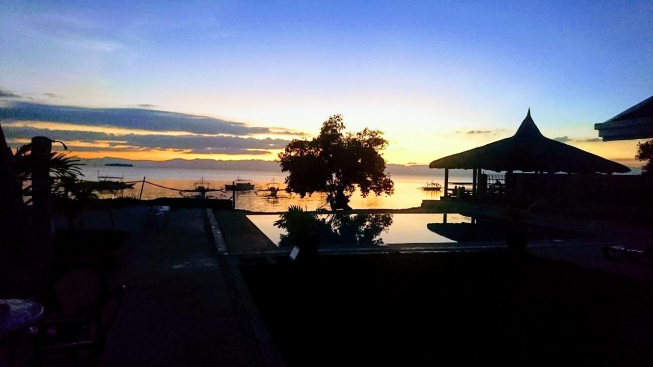 Cebu Seaview Dive Resort モアルボアル エクステリア 写真